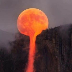 Meet your Posher, Joanne